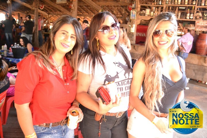 Encontro de Violeiros